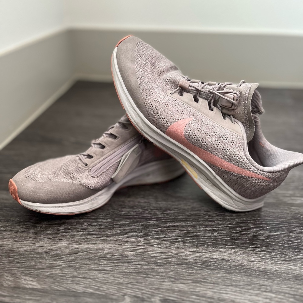 Pegasus Zoom